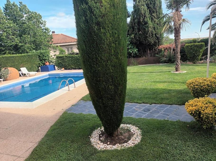 Madrid City Modern Apartment In Villa, Free Wifi Arroyomolinos Luaran gambar